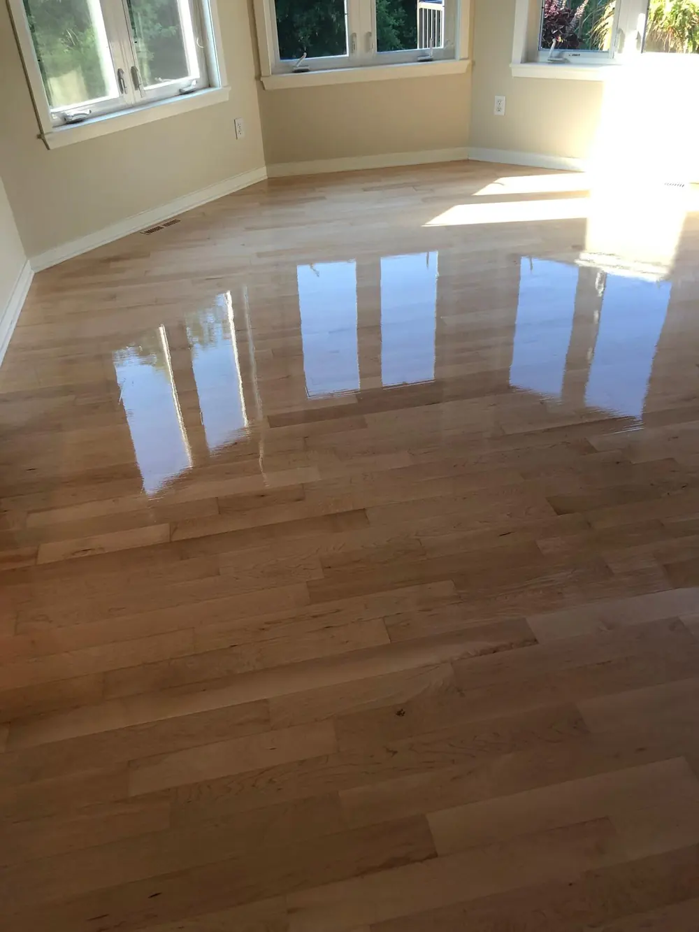 A freshly refinished hardwood floor with a high-gloss finish reflecting the windows